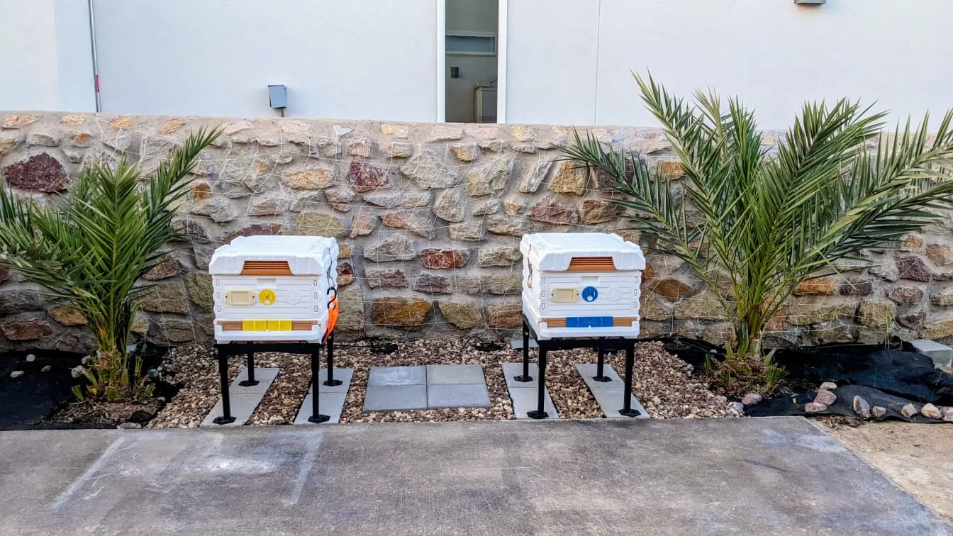 Honey Bee Hive Systems