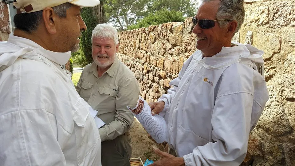 New Beekeeper Tips: 10 Things to Consider Before Getting Started